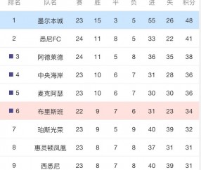 开云足球直播-广东队主场势如破竹，继续领跑积分榜