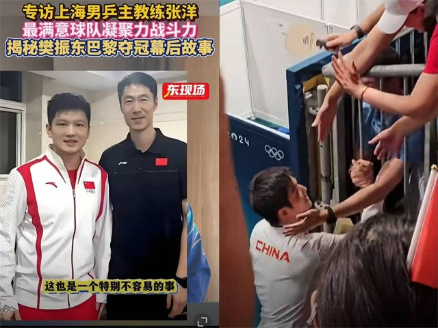 瑞典队碾压韩国队，樊振东扛起全队