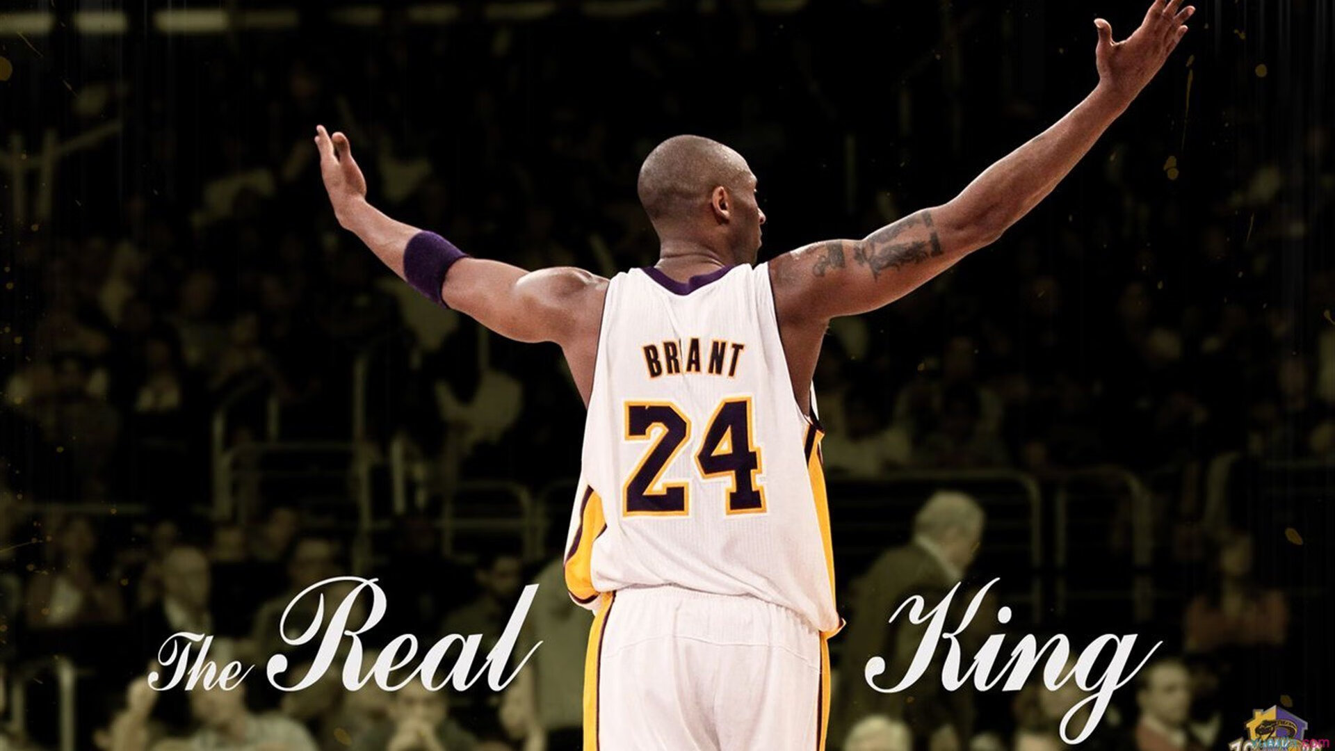 联合杯险胜温网,蒂姆的涅槃时刻,一场超越大满贯的自我救赎